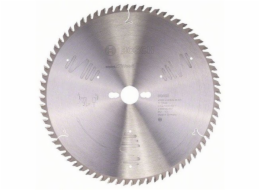 Bosch DEHATOVÝ PILOT. EXPERT 300X30X3,2/2,2X72T