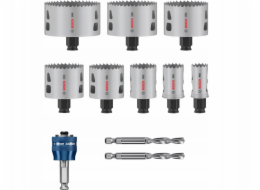 Bosch SADA PILY P MM B 11P Sada