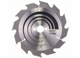 Bosch PILOVÝ KOTOUČ OP WO H 160x20-12