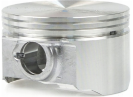 Tvardy Píst pro jednotku T05012 (1)