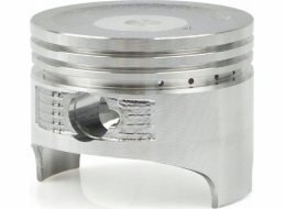 Tvardy Píst pro jednotku T05010 (1)