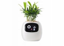 kwiatydonice PlantsIO BŘEČŤAN BÍLÝ