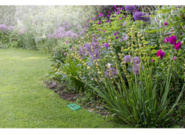 Osram SMART+ RF senzor vlhkosti půdy | Zelený