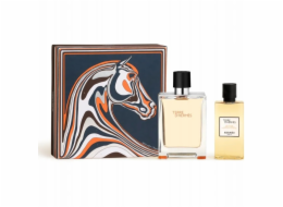 Hermes Terre D'Hermes EDT sprej 100ml + sprchový gel 80ml
