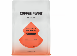 Story Coffee Roasters COFFEE PLANT - Guatemala San Marcos kávová zrna filtrovaná 250 g