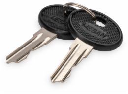 Digitus Schlüssel für Varioflex-N, Unique Serverschränke, Unique Wandgehäuse (2 Stück)