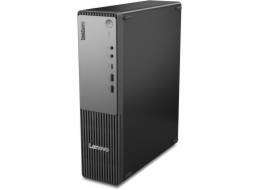 Lenovo ThinkCentre neo 55s Gen 6 (13G00009GE) (schwarz, Windows 11 Pro)