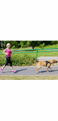 DINGO Páskové vodítko s tlumičem nárazů a rukojetí, délka 170 cm - 14695