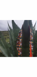 DINGO DINGO VODÍTKO CITY CHIAPAS 2,0 x 220 cm
