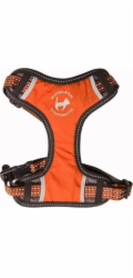 All For Dogs Sportovní postroj All For Cats S oranžový