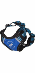 All For Dogs Sportovní postroj All For Cats XS modrý