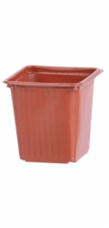 Květináč sadbovač plastový 8x8x8 cm čtverec/10 ks Strend Pro