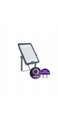 Signify Philips Ledinaire Stor All-in projektor BVP169 15000lm/830-840-865 135W IP65 asymetrický