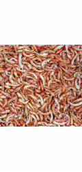 Tropical Tropický GAMMARUS plechovka 1000ml