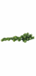 Lucky Reptile Turtle Plants Horn Fern cca 40 cm