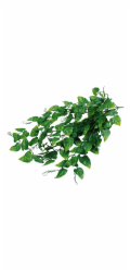 Lucky Reptile Jungle Plants Philo cca 50 cm