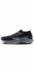 Nike Boty Pegasus Trail 5 Gore-Tex FQ0908-001