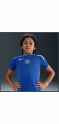 Nike Tričko Chelsea FC Strike s krátkým rukávem HM4444-481