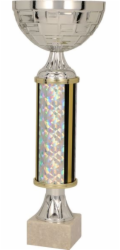 Tryumf Triumph Cup, stříbrný kov (7207B)