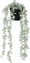 ATMOSPHERA Umělý eukalyptus MERLY, 51 cm