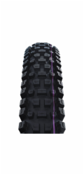 Schwalbe plášť Albert 29x2.50 GRAVITY PRO TLR AddixUltraSoft radial skládací
