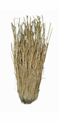 Lucky Reptile Grass Bushes 25-40 cm