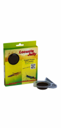 Lucky Reptile Locusta Jelly 4x 15g
