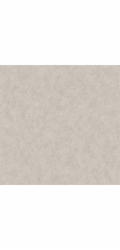 TAPET VINIL 520338 RUSV VIENSP (6)