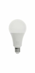 RLL 663 A80 E27 bulb 20W CW D RETLUX