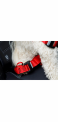 ZOLUX Travel Safe M red - postroj pro psy