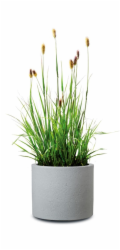Hrnec Scheurich Stony Grey, plast, O 48 cm, šedý