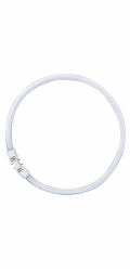 Osram Circular Fluorescent Lamp  T5 FC55W 865 2GX13
