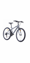 BOTTARI Horské kolo MTB Torino, 24", 24" rám, šedé