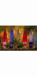 KOMAR Fototapeta Maui 8-902, 368 cm x 254 cm