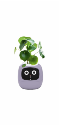 Inteligentní květináč PLANTSIO IVY fialo