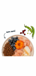 BOSCH Sanabelle Adult Trout & Blueberries - suché krmivo pro kočky - 2kg