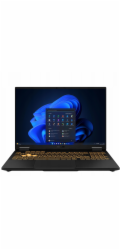 ASUS TUF Gaming F16 FX608JMR-RV121W i5 14450HX 16,0" FHD+ 165 Hz IPS-level AG 16 GB DDR5 5600 SSD512 GeForce RTX 5060 8 GB WLAN+BT LAN Cam 1080p 90 WHrs Win11 Jaeger Grey