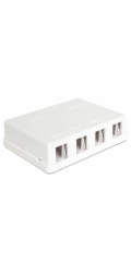 Delock Keystone Surface Mounted Box - Kryt zásuvné jednotky - bílá - 4 porty