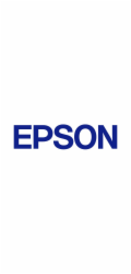 EPSON Ink Cartridge for Discproducer, Yellow