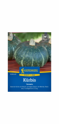 Kiepenkerl Kabocha dýně "Yamato" F1 hybrid