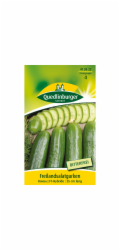 Quedlinburg salátová okurka "Konsa"
