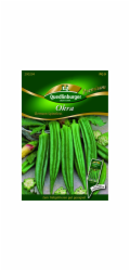 Quedlinburger okra   Clemson Spineless  