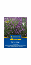 Kiepenkerl Vonná levandule "Hidcote Blue Strain" modrá