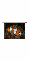 NOBO Wall Screen š175 x v132 -matný bílý,4:3