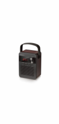 CARNEO F90 FM rádio, bluetooth reproduktor, black/wood
