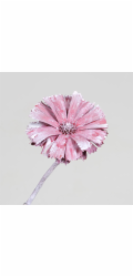 Dekorativní rostlina Protea Repens Erica frosted red