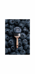 Schöner Wohnen Trend barva Blueberry matt 2,5l