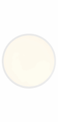 Brilantní LED stropní svítidlo Avola White O 42 cm