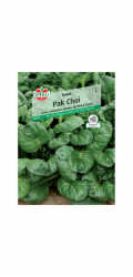 Sperli Pak Choi "Tatsoi"