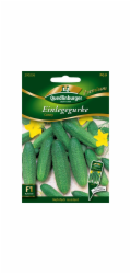 Quedlinburské nakládací okurky "Conny" Volná semínka